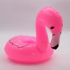 Fire Bird Broke