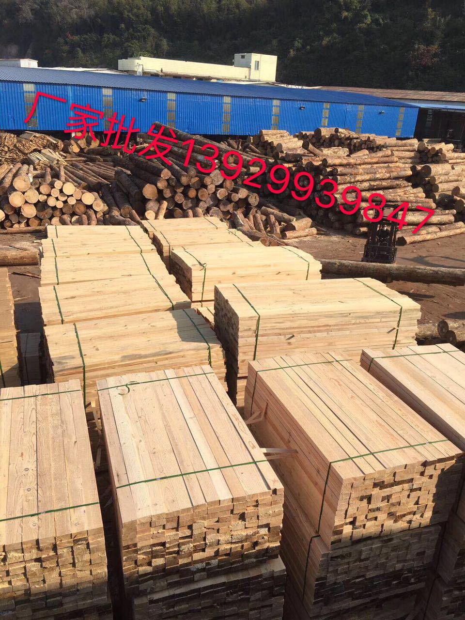 四会辐射松 优质建筑木方 规格齐全 深厚的资源储备 量大从优