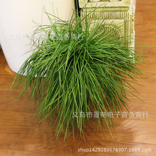 ��Ʒ���з����L��ݺ��[��ֲ������ѿ�ݾ²˼Ҿ��Ʒ�S�����l