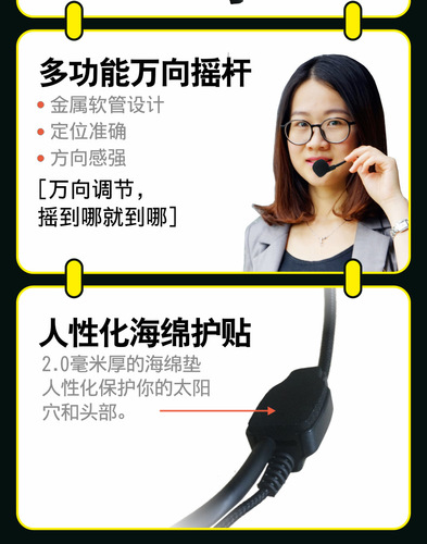 Roltong/LeTing H01 Honeybee Wired Headset Microphone for Amplifier, Earphone, Teaching, and General Use