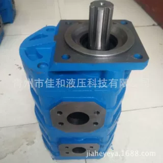 J3100/10-XF龙工工作泵   60301000059