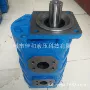 龙工工作10-xfj3100泵