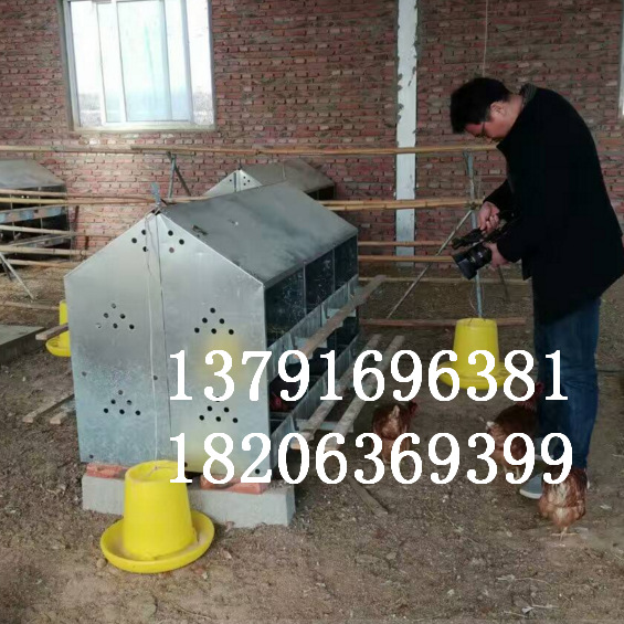 生产鸡用产蛋箱价格便宜 24穴产蛋箱价格