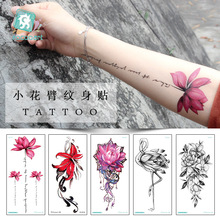 �羳��Դ�������ˮ��ˮī��ɫ�����������Ը����ǻ�����ֽtattoo