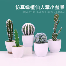 ���������ƶ���ֲ�� ins�_��������������⻨���W�L����ˌ���