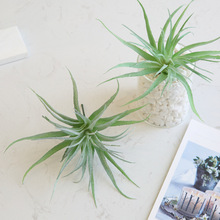 ֲë����՚��P��ٶ���ֲ��՚�ݼҾ��bGֲ��ٻ��������