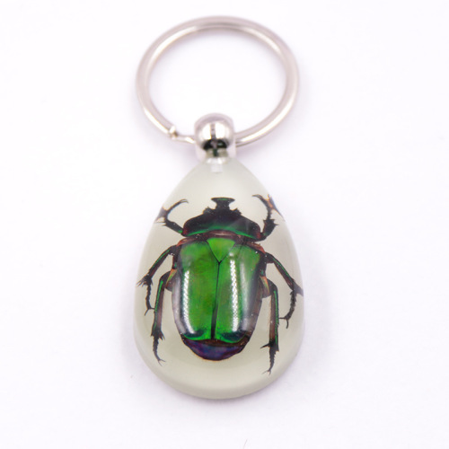 Large Amber Night-Luminous Insect Keychain Decor with Real Insect Specimens, Hot Selling in Scenic Areas, Factory Wholesale