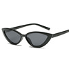 Fashionable sunglasses, suitable for import, European style, cat's eye, internet celebrity, Aliexpress