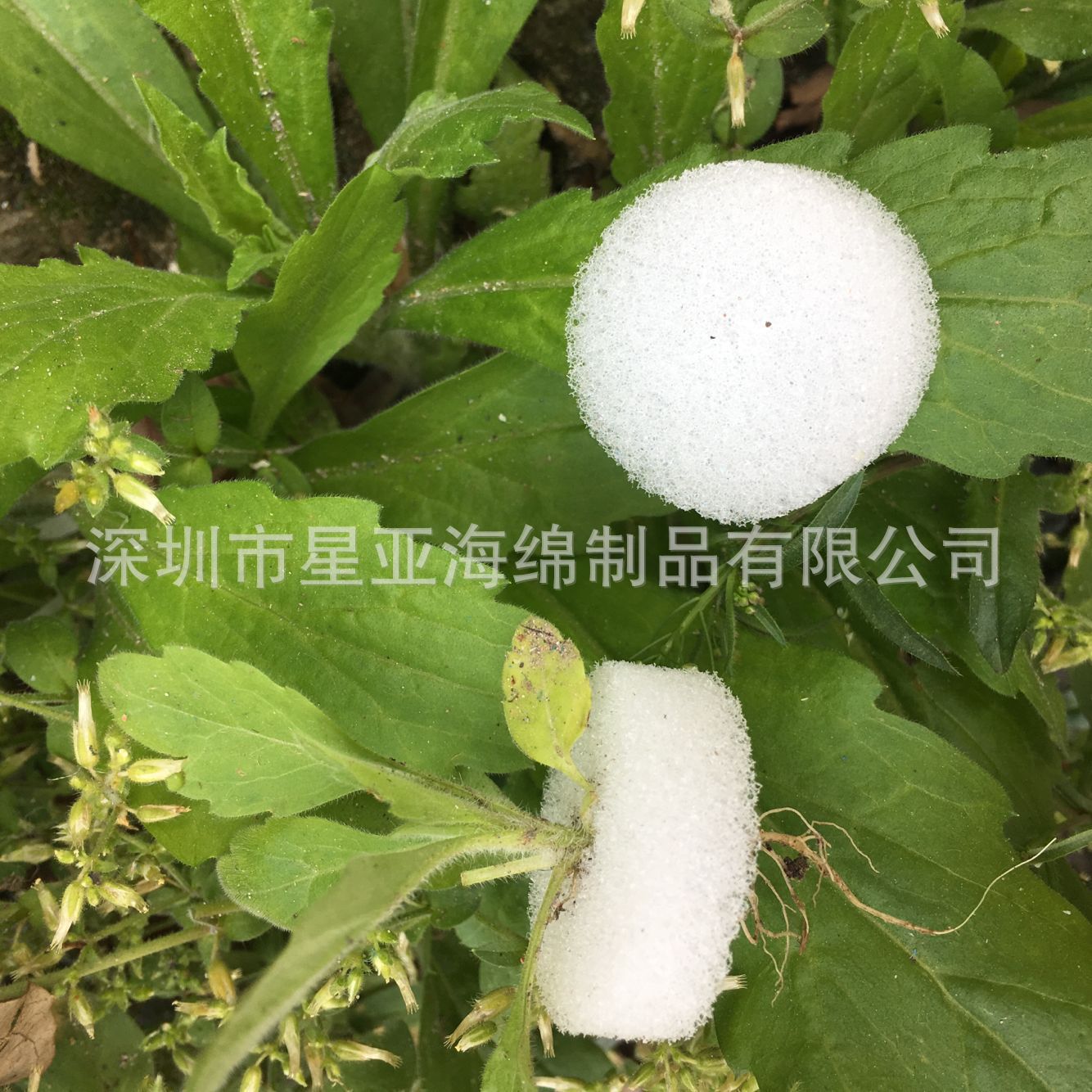 大块儿切割方块切割育苗海绵大棚蔬菜种植泡棉专用固定漂浮棉