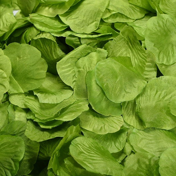 No. 13 Green