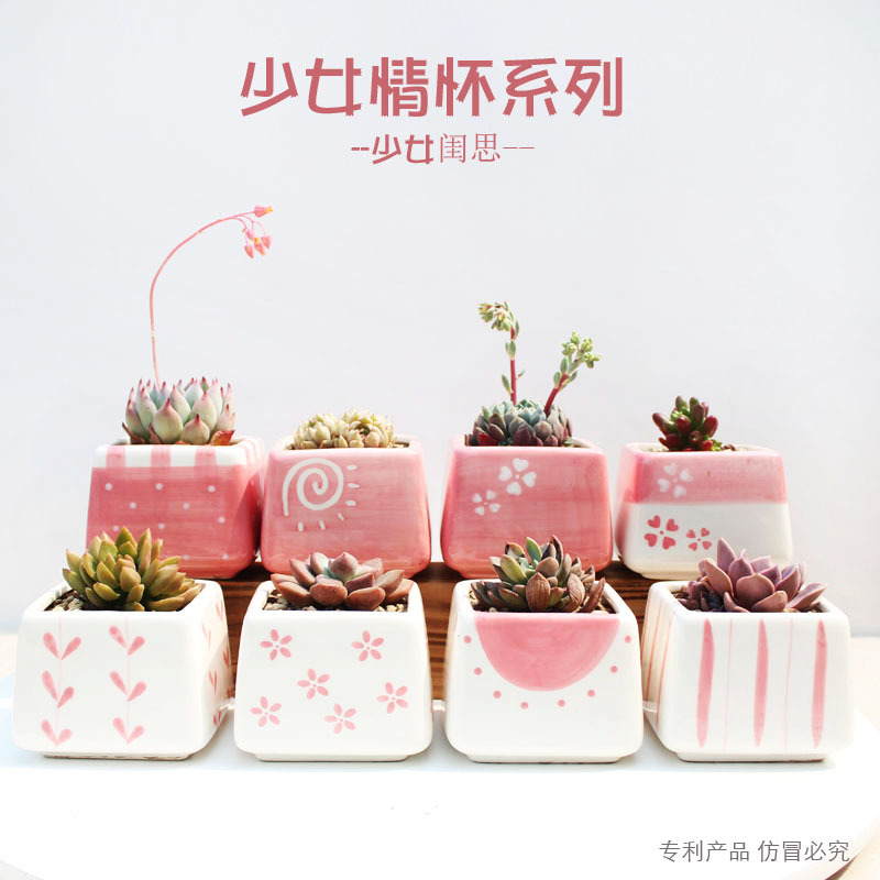 Cross-border Taobao best selling pink girl heart square fleshy flowerpot hand-painted plant flower container Amazon