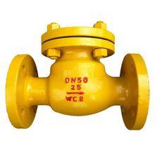 沪工名工阀门H44B-16C氨用立，卧两用法兰止回阀密封