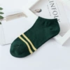 【Double Bar Model】 Ink green