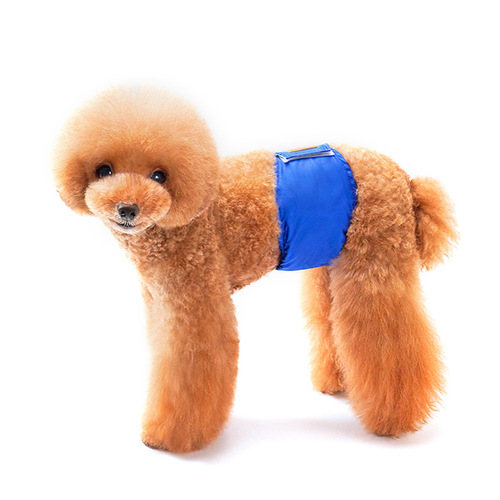 Creative new solid color pet male dog menstrual pants dog polite belt anti-harassment puppy safety pants manufacturer wholesale