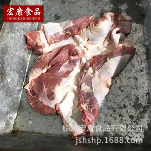 �S�����a�����_����  ����i�o����  ���󃞻�