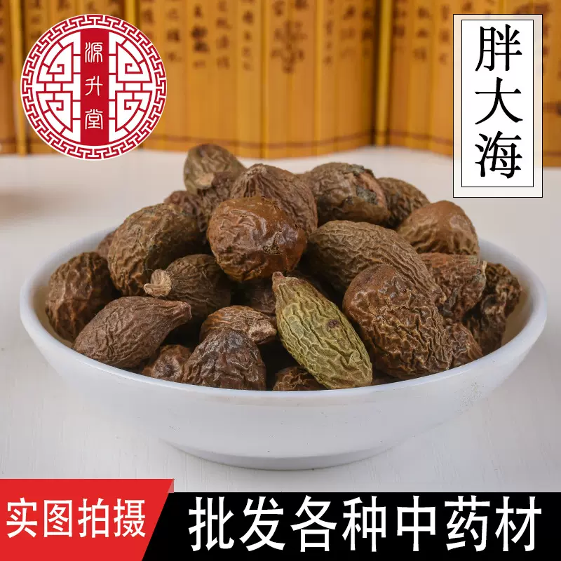 各种花草茶批发 胖大海 精选胖大海500克 厂家直供量大从优