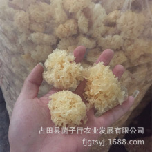 �ط��خa��؛���ľС�y��һ��Ŵѩ���������Fُ�Ƶ��ͥ��偵�