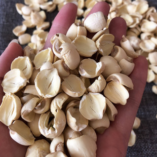 2025����؛����ɏ�� �_߅ɏ�Ӹ�؛��ɏ��ɢ�b�r��ɏ�����נ�