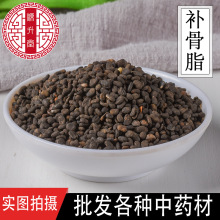 不硫中药材批发 产地货源子籽类药材补骨脂500克 干净无杂