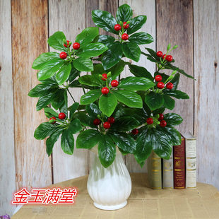 ����� ����ֲ�� �����辰 �҃��⾰�^ �����������ǹ�18Ƭ�Ž���