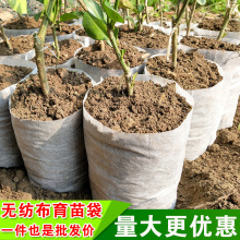 加工定制 营养袋容器杯无纺布育苗钵植树袋定做批发苗圃移植