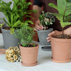 Personalized creative literary cement flower pots, concrete Imperial Roman flower pots, breathable pottery pots with trays, manufacturer wholesale