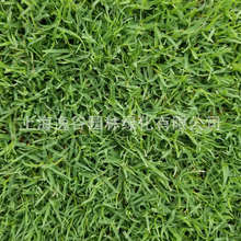 ���ع������Z�q���X�� ���X��ɳƺ ���G���ƺ��Ƥ ���`̤