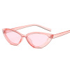 Fashionable sunglasses, suitable for import, European style, cat's eye, internet celebrity, Aliexpress