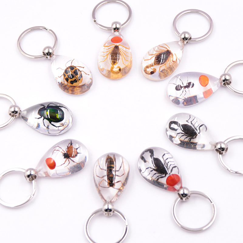 New Transparent Insect Keychain Amber Pendant Real Specimen Scenic Spot Wholesale Hot-Selling Pendant