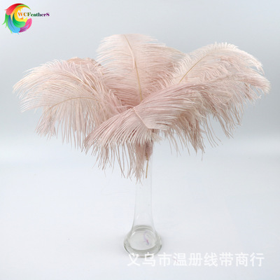 温册羽毛厂家现销婚庆鸵鸟毛舞台羽毛插花羽毛定染各色大毛花羽毛|ms