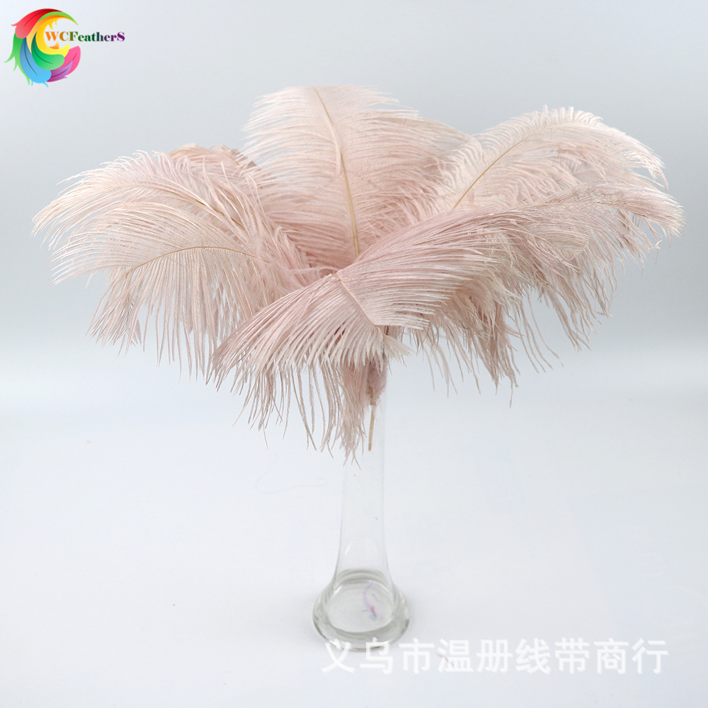 温册羽毛厂家现销婚庆鸵鸟毛舞台羽毛插花羽毛定染各色大毛花羽毛|ms
