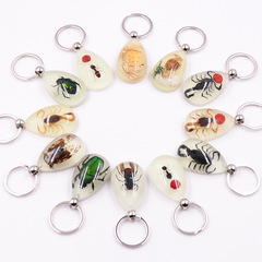 Large Amber Night-Luminous Insect Keychain Decor with Real Insect Specimens, Hot Selling in Scenic Areas, Factory Wholesale