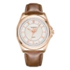 336 Golden Shell White Plate Dark Brown Band