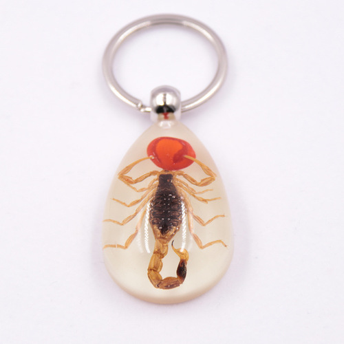 Large Amber Night-Luminous Insect Keychain Decor with Real Insect Specimens, Hot Selling in Scenic Areas, Factory Wholesale