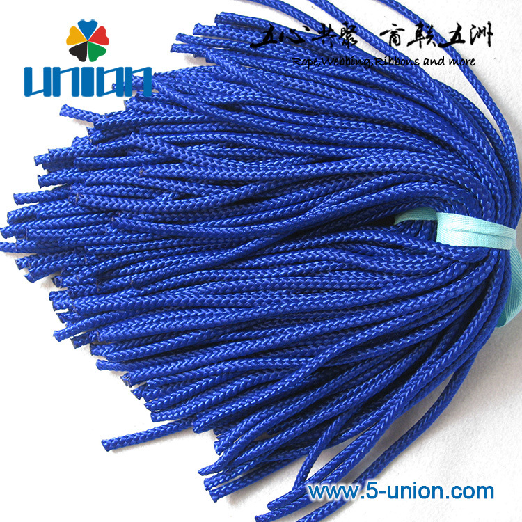 厦门源头厂家  2mm-12mm手提绳 16花 8花彩色PP绳 编织尼龙绳