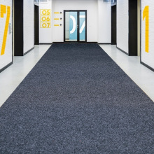 拉绒粗丝地毯TPR复合底垫活动门口吸水防滑丝圈粗丝卷材厂家直销