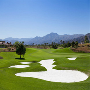 ��ɳ ��ƺ�ð�ɳ �ߠ��������ɳ ��ͯ�ʘ���ɳ ��ɳ��