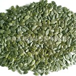 厂家批发品质光板南瓜籽仁Shine Skin Pumpkin Seeds