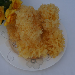 �ڰl �����خa�o���S���y��Ƭ��ľ���KŴѩ������؛500