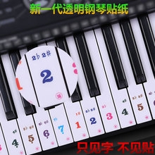 钢琴透明贴纸61键专用电子琴键盘手卷钢琴键贴简谱五线谱贴纸琴贴