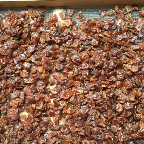 Direct supply from origin, Fujian dried longan with no seeds, longan meat, dried longan fruit, wholesale 500g