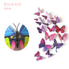 Three dimensional realistic fridge magnet with butterfly on wall, decorations, art decoration PVC, sticker, in 3d format