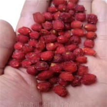 �����^�p���Ϸ��t��ɼ�ɹ� ���؁��t��ɼ�ɹ� �t��ɼ�r������ă�