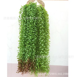 ���洹�� ����ֲ�� ���滨�ٻ����l �Ҿ�ֲ����ڔzӰ�b� ����