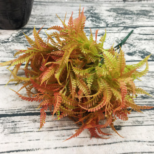 ˮ˹Ĳݷ滨ٻl5ҾֲzӰb