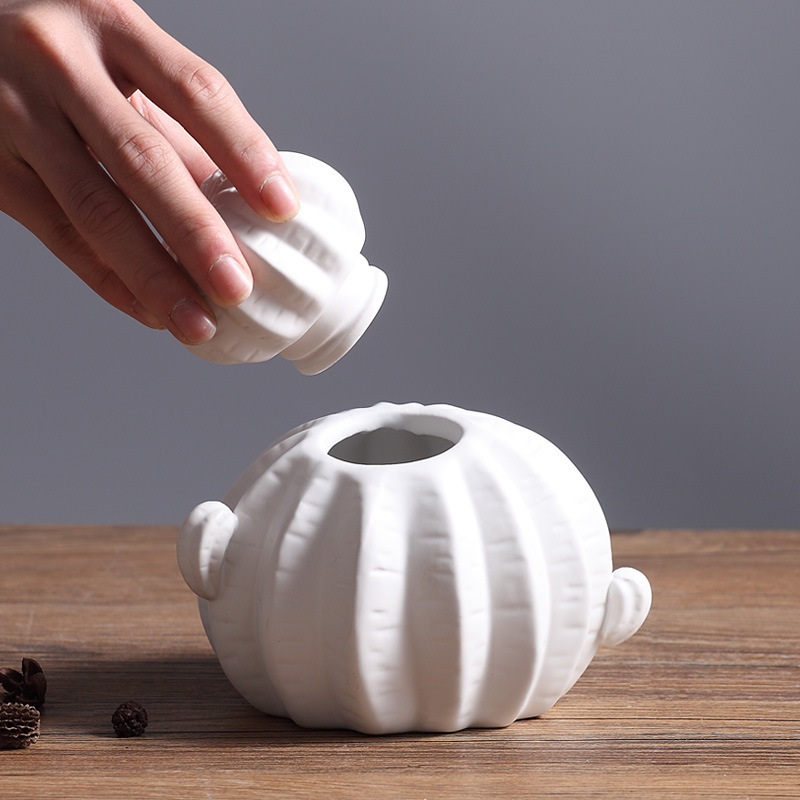 Cerámica creativa cactus decoración estilo nórdico simple dormitorio hogar blanco decoración suave al por mayor