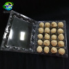 Factory direct selling 20 quail eggs transparent tray poultry egg packaging PVC plastic packaging box quail preserved egg tray