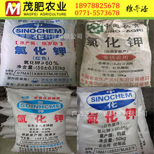 ⛷� ⛷� ��ɫ�tɫ�w�����w�۠�