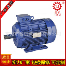 台湾卧式三相异步电动机 交流异步电机0.35-15kw普通电机厂家