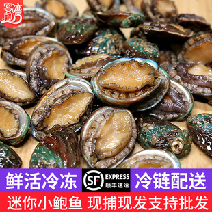 �U�~ ���С�U�~����������С���r
